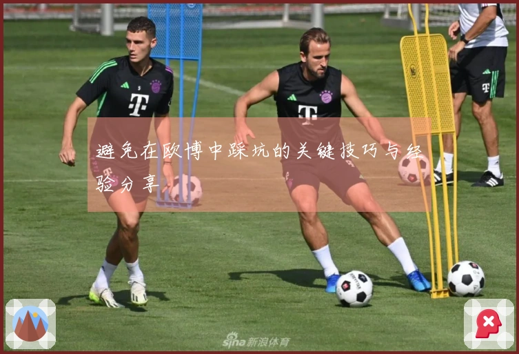 避免在欧博中踩坑的关键技巧与经验分享