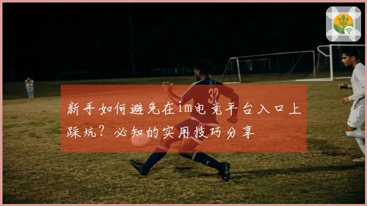 新手如何避免在im电竞平台入口上踩坑？必知的实用技巧分享