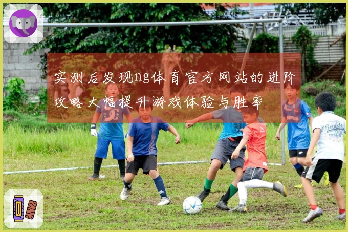 实测后发现ng体育官方网站的进阶攻略大幅提升游戏体验与胜率