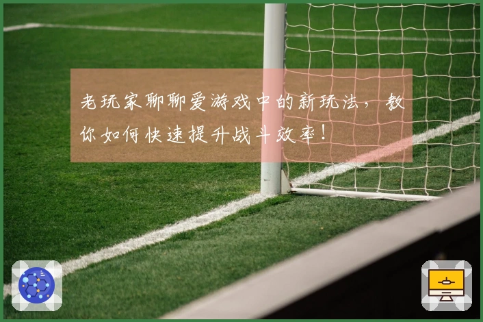 老玩家聊聊爱游戏中的新玩法，教你如何快速提升战斗效率！
